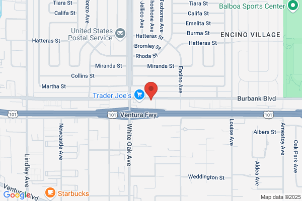 Encino Palms