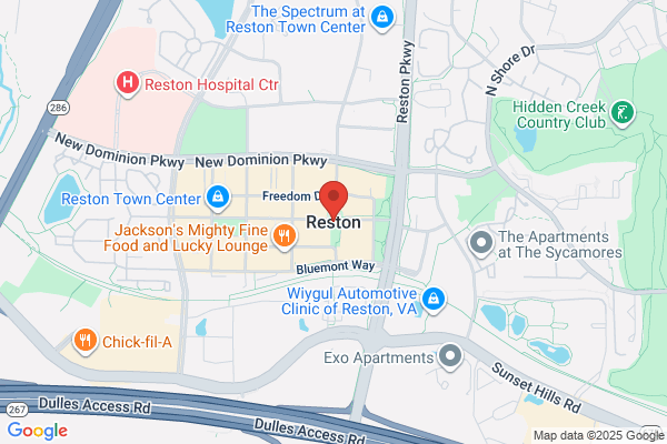Reston Taxi Executive