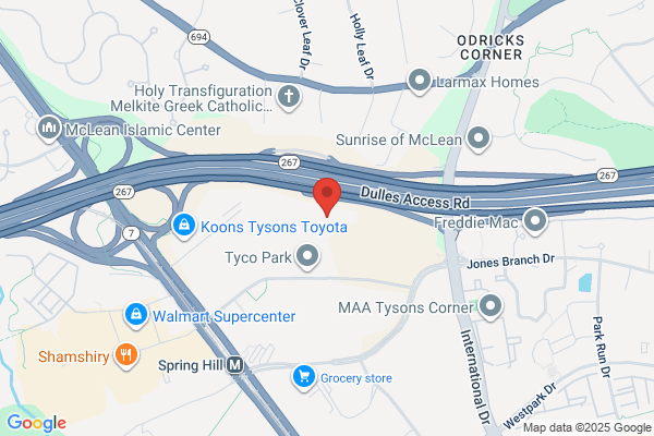 Flood Damage Pro - Reston