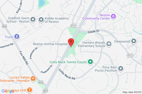 Reston Animal Hospital