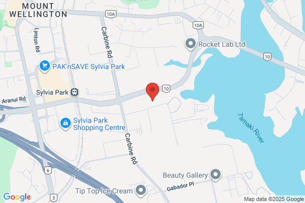 Buckley Systems International