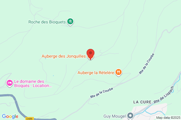 Jonquille's Diner