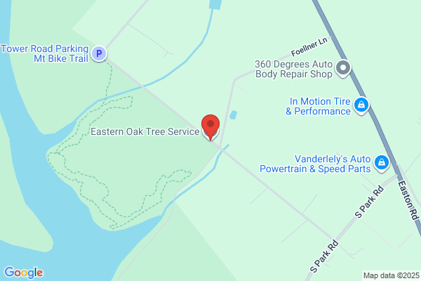 Eastern Oak Tree Service