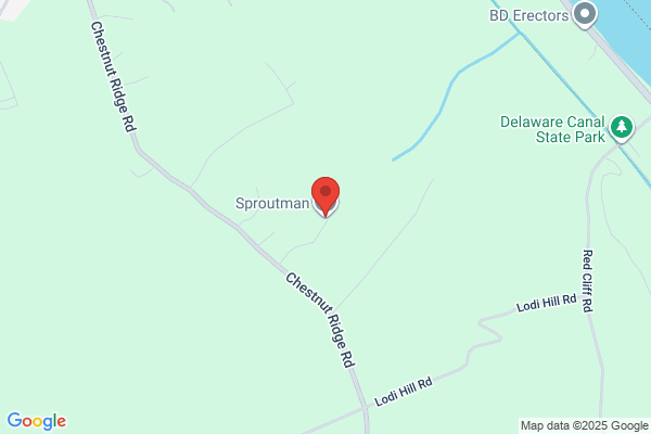 Sproutman the
