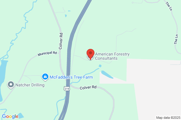 American Forestry Consultants
