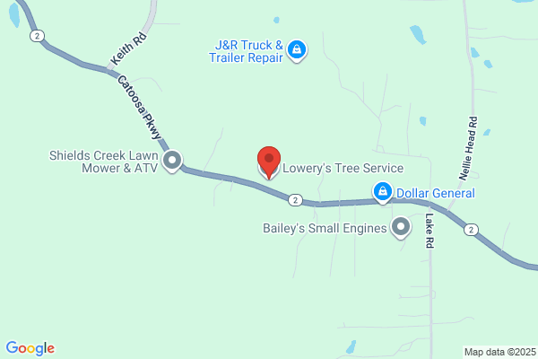 Lowery's Tree Service