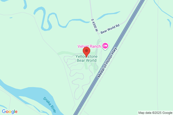 Yellowstone Bear World