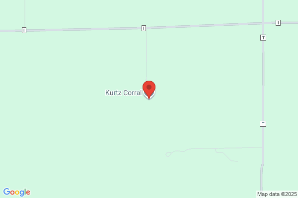 Curt's Corral