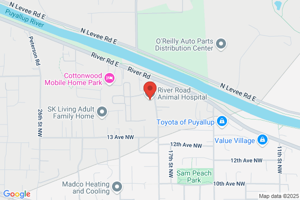 River Road Animal Hospital