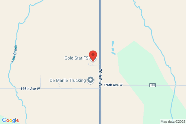 Gold Star Fs Inc
