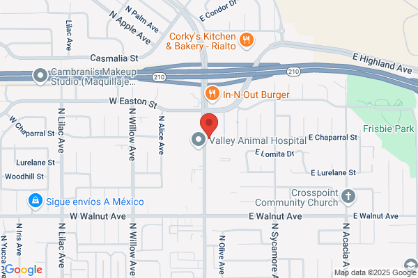 Dental Care of Rialto Inc
