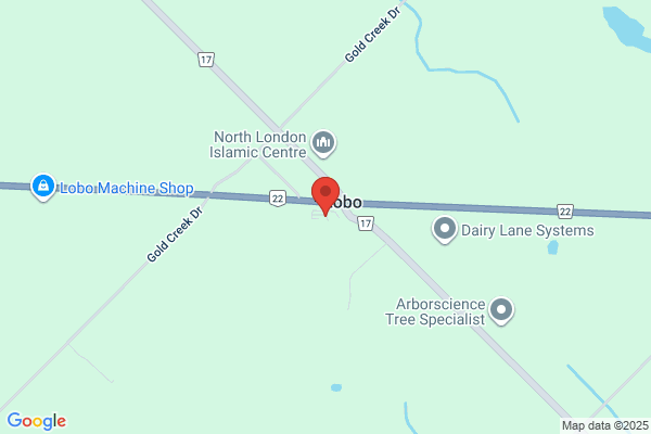 Lobo Auto Sales