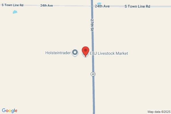 Ebj Livestock Market Inc