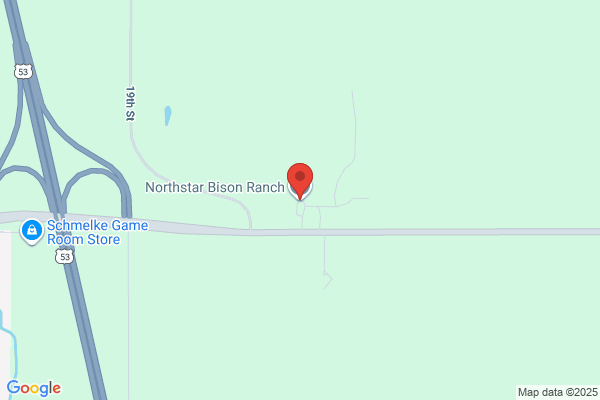 Northstar Bison