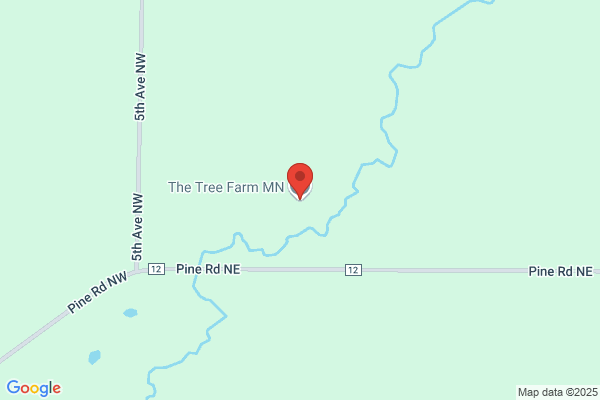 the Tree Farm