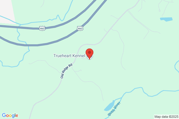 Trueheart Kennel