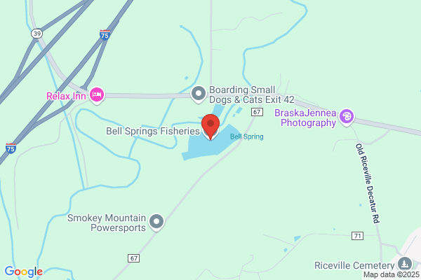Bell Springs Fisheries