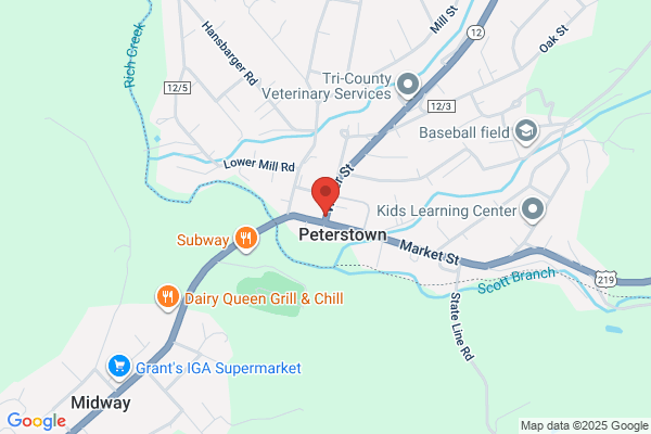 Peterstown Town of, Public Library