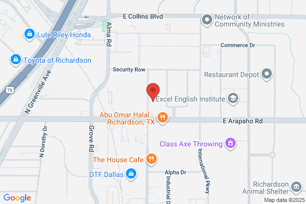 Executive Security Systems