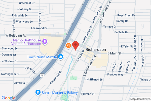 Dallas Chinese News