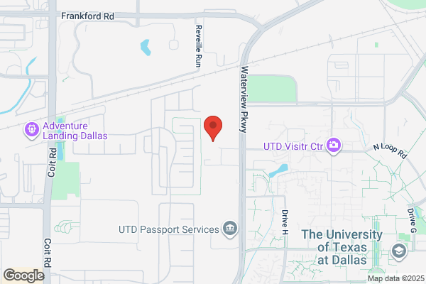 Dallas International School