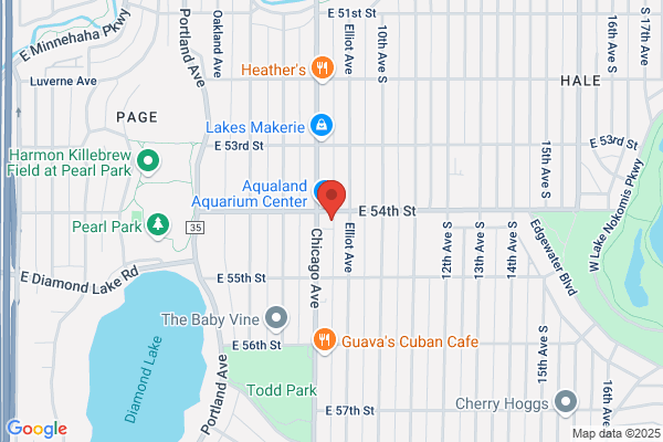 Gentle Dentistry - Minneapolis Office