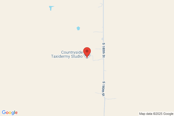 Countryside Taxidermy Studio