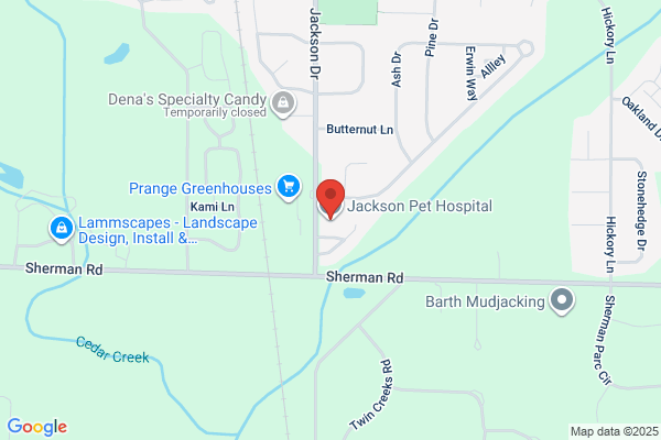 Jackson Pet Hospital