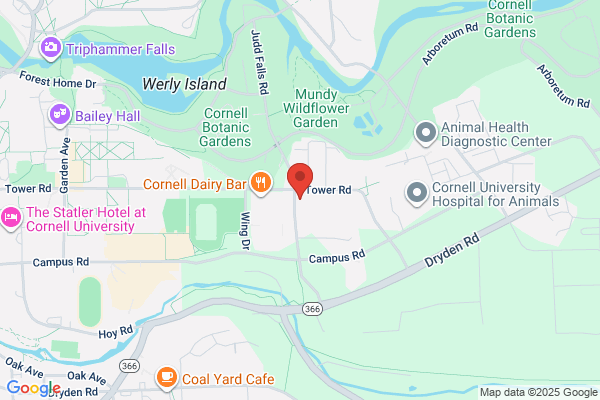 Animal Science Department Cornell University