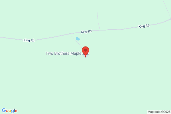 Two Brothers Maple, LLC