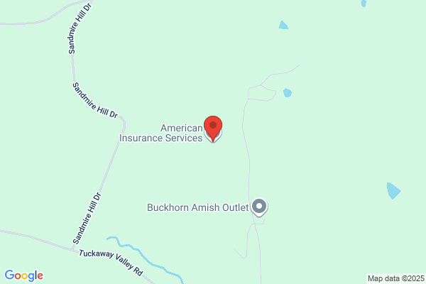 American Insurance Services