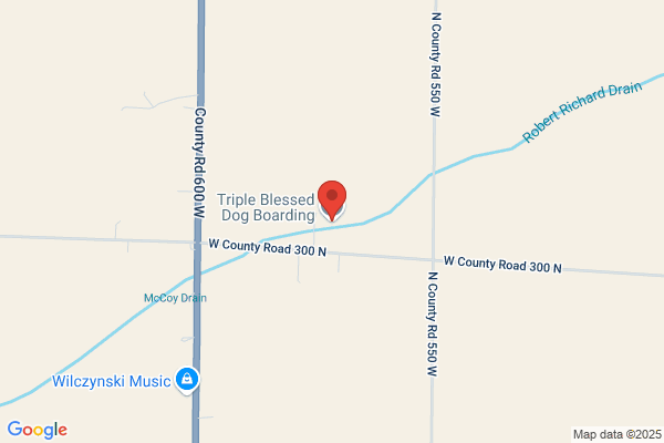Triple Blessed Dog Boarding