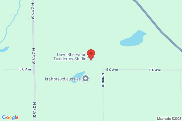 Sherwood Dave Taxidermy Studio