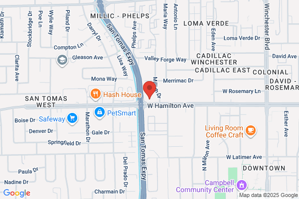 Thiele Terrance L CPA
