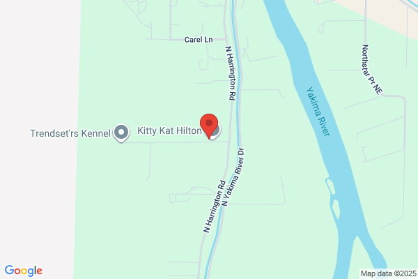 Kathy's Kritters
