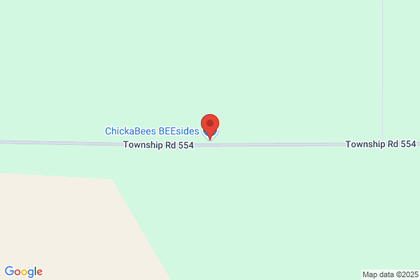 Chickabee's