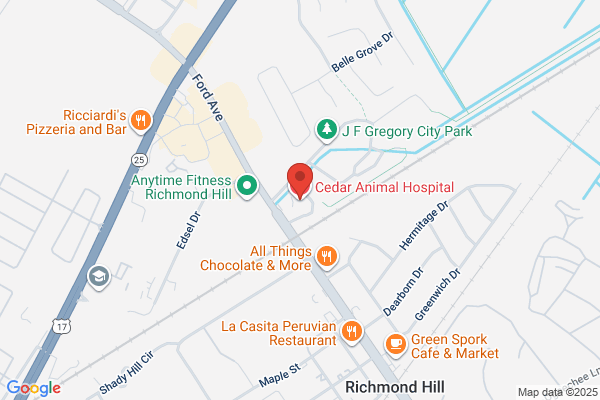 Cedar Animal Hospital