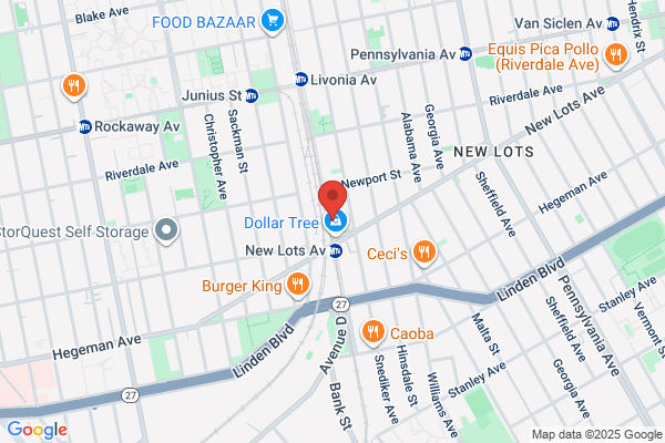 New Lots Deli & Grill