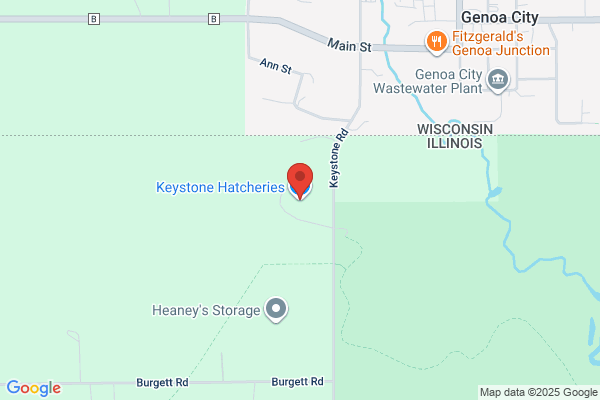 Keystone Hatcheries