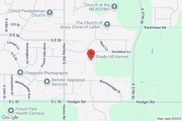 Shady Hill Kennel
