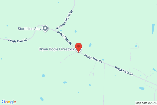 Bogie Bryan Livestock Inc