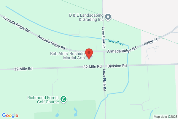 Bob Aldis' Bushido Martial Arts Inc