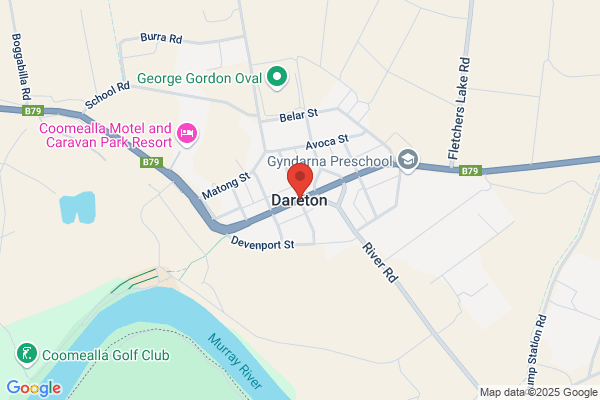 Dareton International
