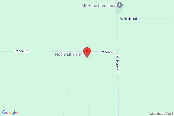 The Noble Elk
