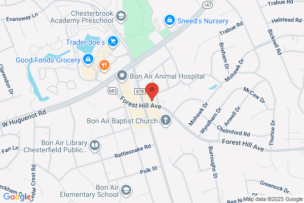 Bon Air Travel Inc
