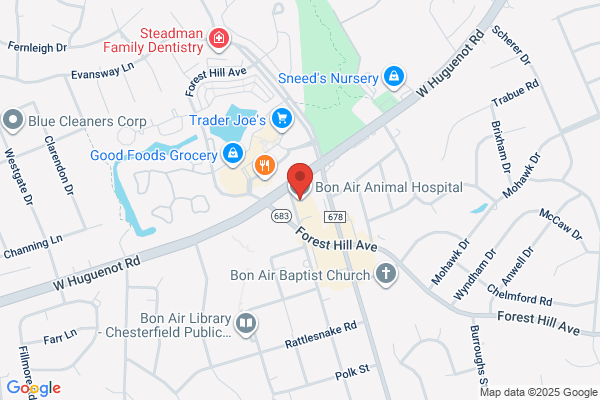 Bon Air Animal Hospital
