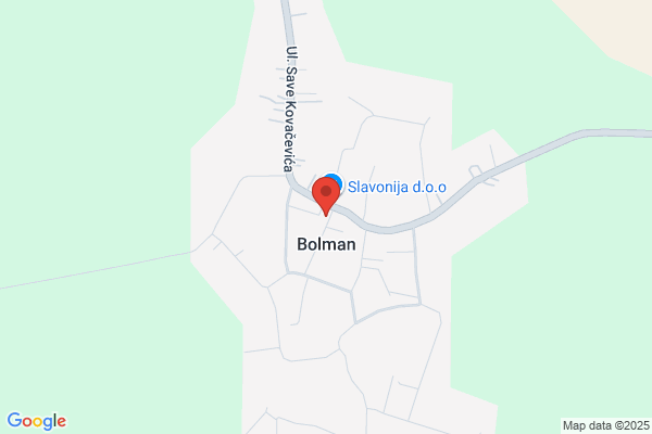 Boleman