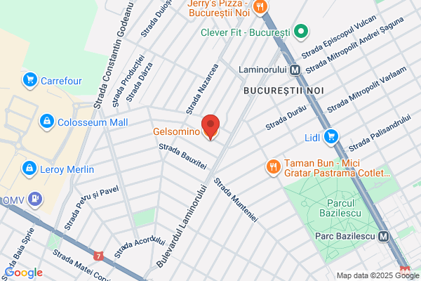 GELSOMINO RESTAURANT LLC
