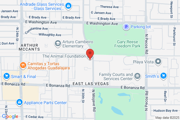 Animal Adoption Foundation