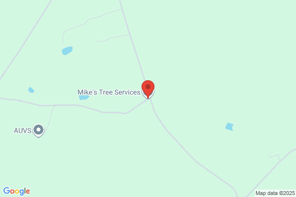 Mike's Stump Removal & Tree Service